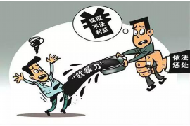澳洲私人讨债公司：揭秘其运作与优势